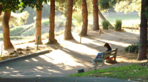 reading-on-bench_0-300x168